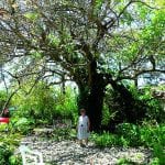article image -